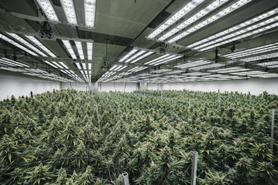 Lume Cultivation Facility Fmt