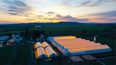 Oregoncbdcopy