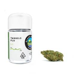 tangelo flo