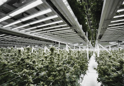Valley Pure Preferred Fmt