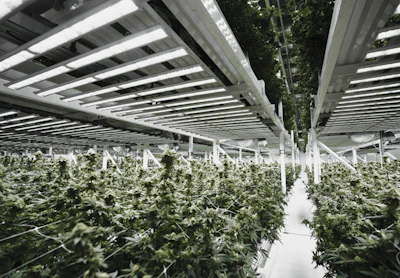 Valley Pure Preferred Fmt