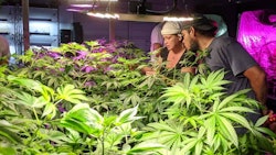 Indoor Grow Facility at Learn Sativa University