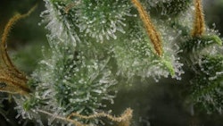 Adobe Stock147673191