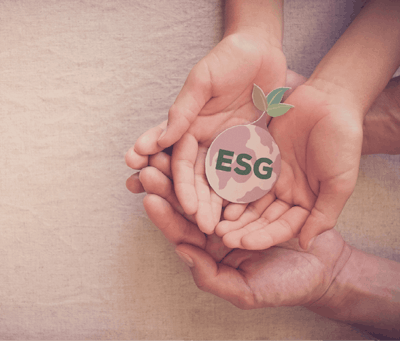 Adobe Stock 423637014 Fmt