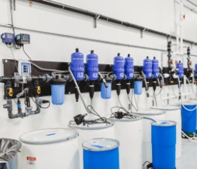 Cannabis Business Times45 Fmt