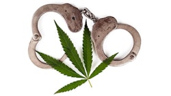 Cannabis Convictions Adobe Stock363633777736