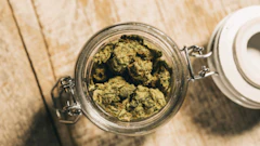 Adult-Use Cannabis Sales