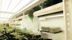 Al Harrington's cannabis brand, Viola, has launched its own education platform called the Harrington Institute, in partnership with the Cleveland School of Cannabis.