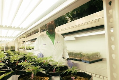 Al Harrington's cannabis brand, Viola, has launched its own education platform called the Harrington Institute, in partnership with the Cleveland School of Cannabis.