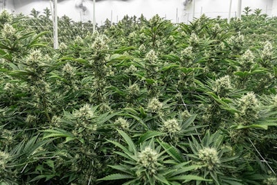 Harrington Institute2 Resized