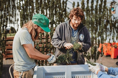 Head Heal2019 10 5214 Fmt