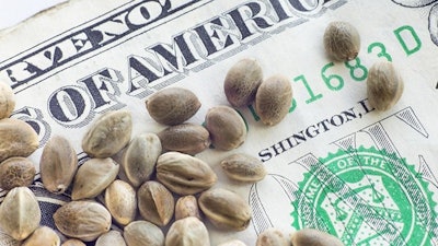 Hemp Money Adobe Stock89831734