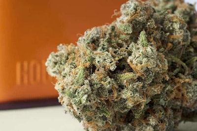 Houseplant