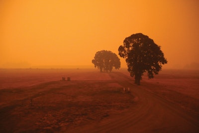 Iff 2020 Mars Landscape Fmt