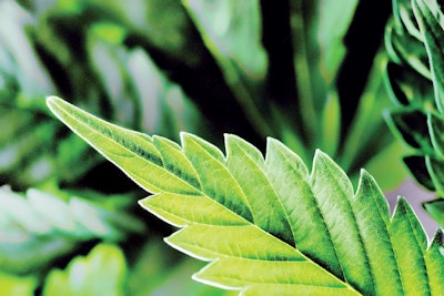 I Stock 801444614 Fmt