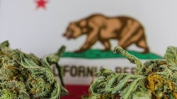 Smokablehempcali Konrad