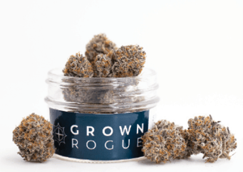 Tcc Grownrogue Gypsyjanephotography 333 Fmt