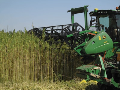 11 Hempflax Triple Harvest In Romania Fmt