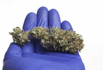 Adobe Stock234531646medicalcannabis