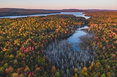 Fall foiliage Maine Adobe Stock 462450288