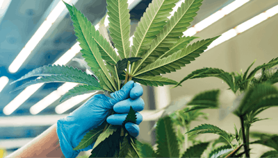 High Res Trimming Fmt