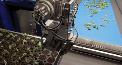 Iso Cutting Planter Fmt