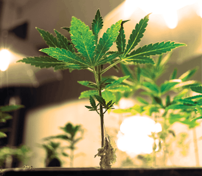 I Stock 1132048305 Fmt