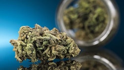 Ny Flower Adobe Stock258197385736x414