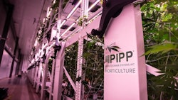 Pipp Resized