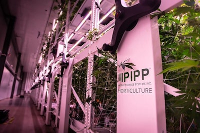 Pipp Resized