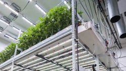 Vertical Led