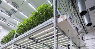 Vertical Led