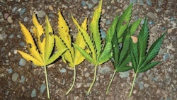 Adobe Stock280133228