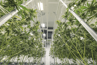 Adobe Stock 293278546 Fmt