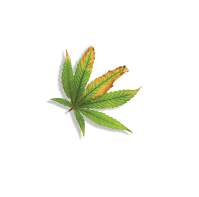 Adobe Stock 398316742 Fmt