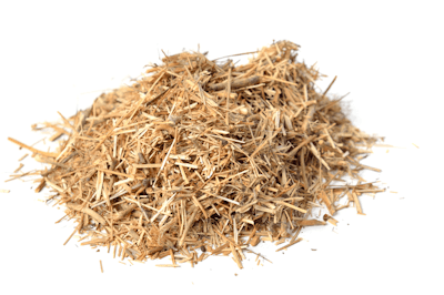 Adobe Stock 458664695 Shives Boon Hurd Fmt