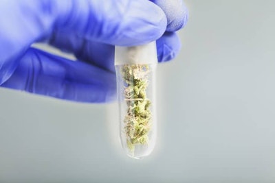 Cannabis Test Tube Adobe Stock Credit Elroi Resized