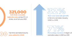 Displayfast Stats 2fmt