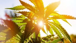 Adobe Stock164532147