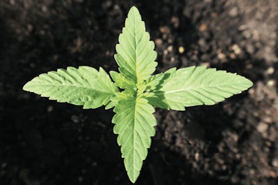 Adobe Stock 272300728 Fmt