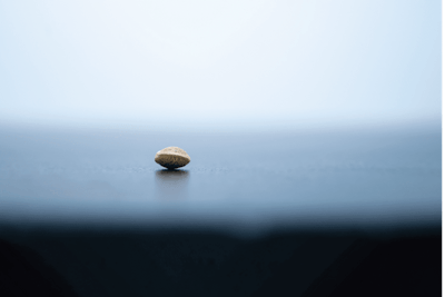 Adobe Stock 272599777 Macro Close Up Photograph Of A Seed On Dark Neutral Background Edit Fmt