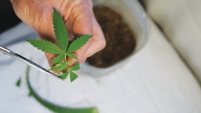 Adobe Stock 418029101 Fmt