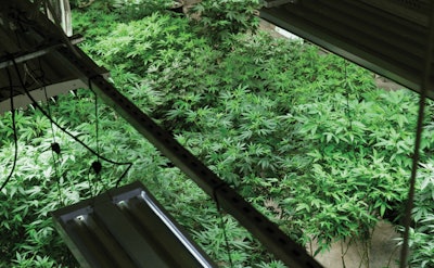 Adobe Stock 99457626 Fmt1