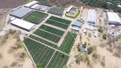 Avicanna's facility in the foothills of Colombia's Sierra Nevada de Santa Marta mountain range