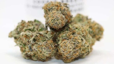 Cannabis Close Up
