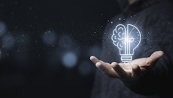 Lights Adobe Stock427667364