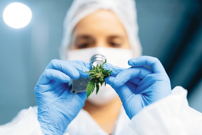 Tilray Lab 1 Fmt