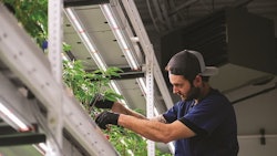 5 Photocourtesyof Proper Cannabis