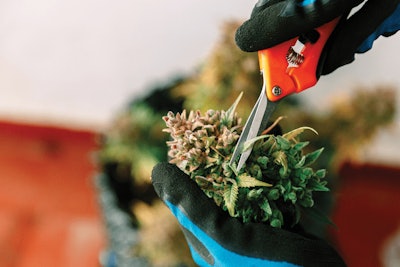 Adobe Stock 206170807 Fmt