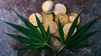 Canna Crypto Adobe Stock444152010